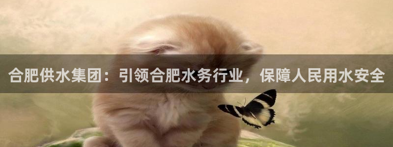qy球友会体育怎么样