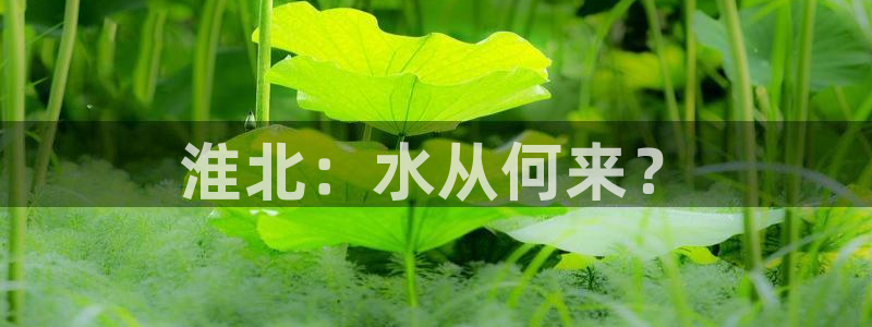 球友会是不是大平台