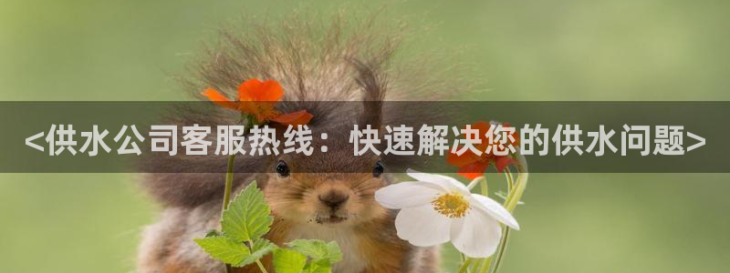 球友会不出款