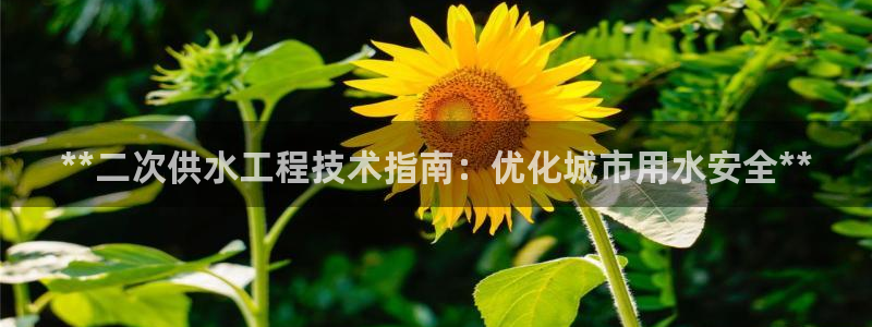 球友会网站多少