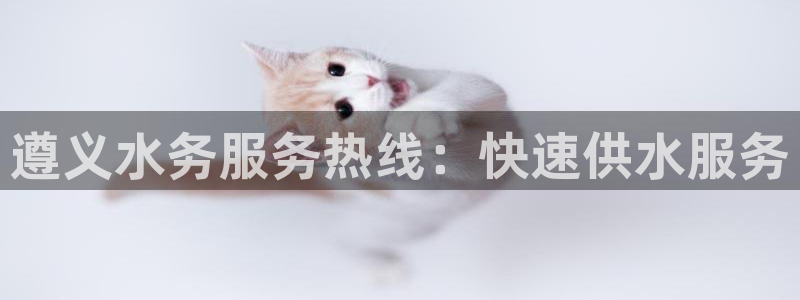 球友会比赛结果查询官网
