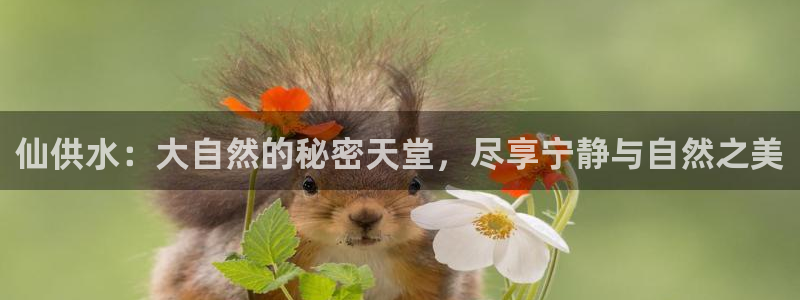 球友会app下载QY