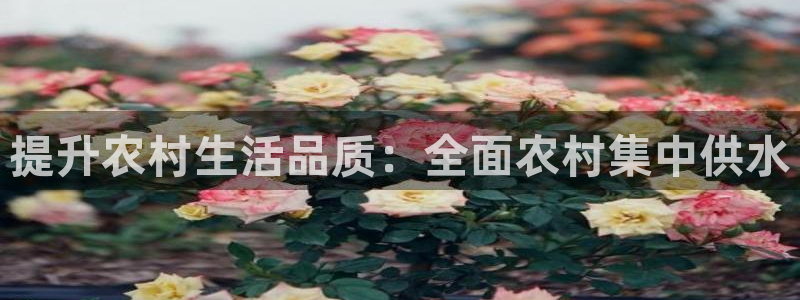 球友会入口