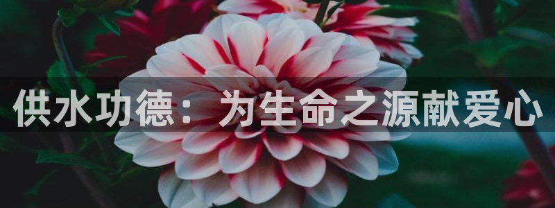 球友会兑换码