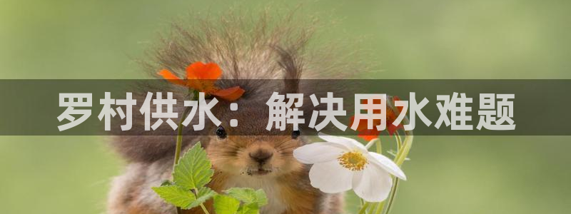 球友会app官方网站入口