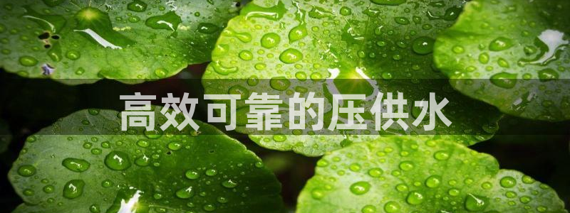 球友会App