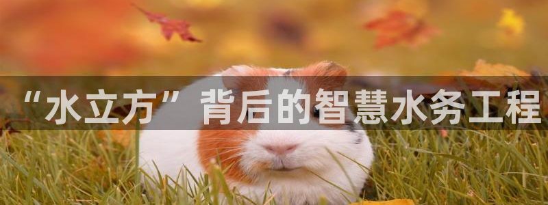 球友会app网址