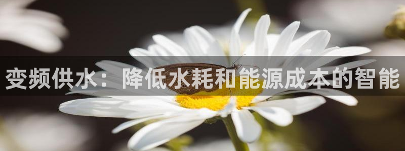 关键词