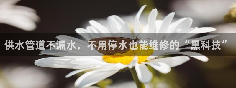 球友会网站多少