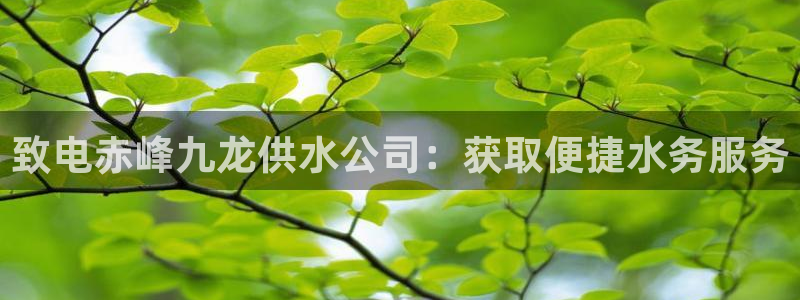 球友会下载安装