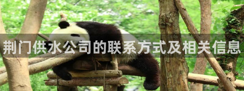 球友会app安全吗可靠吗是真的吗