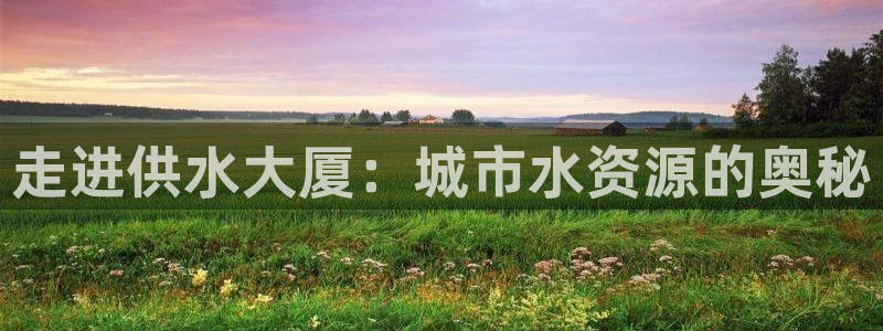 qy球友会体育官方平台