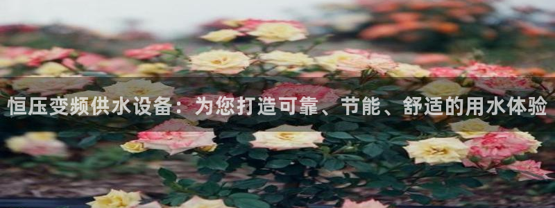 球友会提款不到账