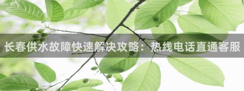 球友会娱乐