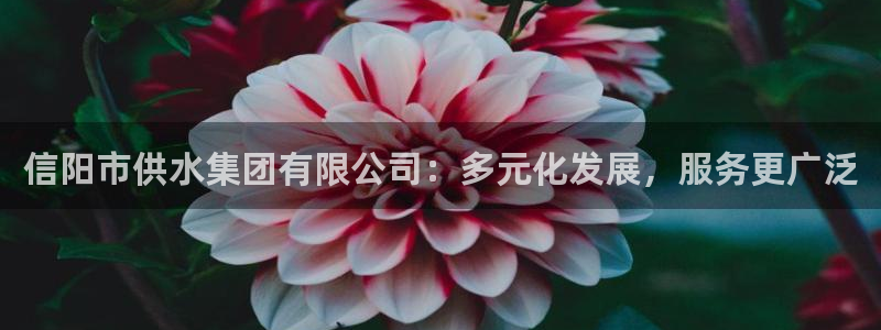 球友会官网
