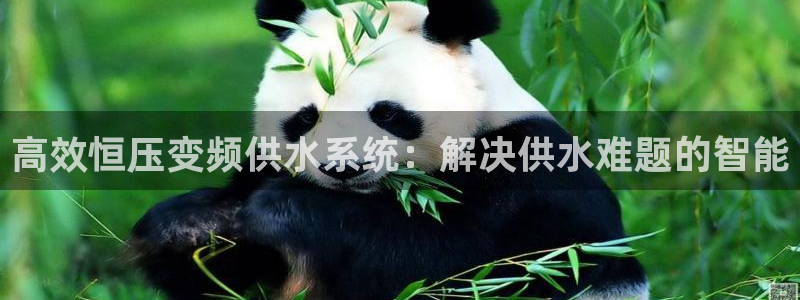 球友会体育app官方版下载安装苹果