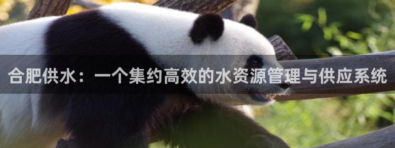 球友会·(QY)官方网站