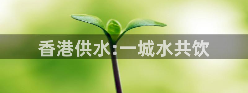球友会台球俱乐部官网