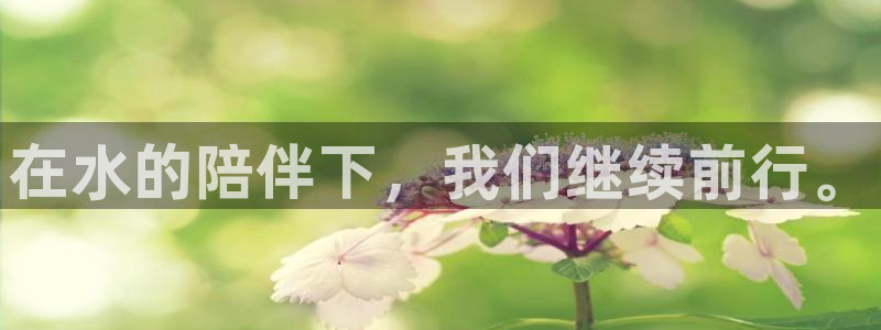 球友会提款不到账
