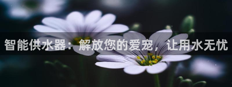 球友会app官方网站入口