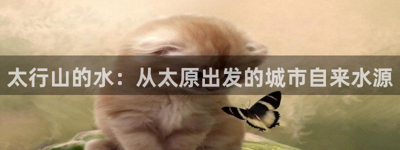 球友会app官网下载安装