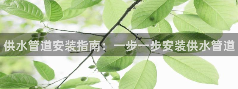 球友会在线登录账号吗安卓