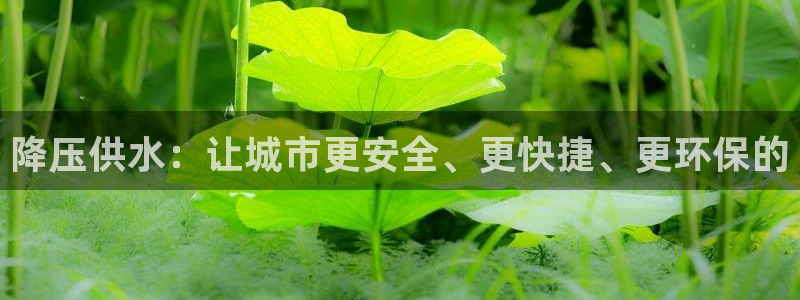 球友会体育app下载