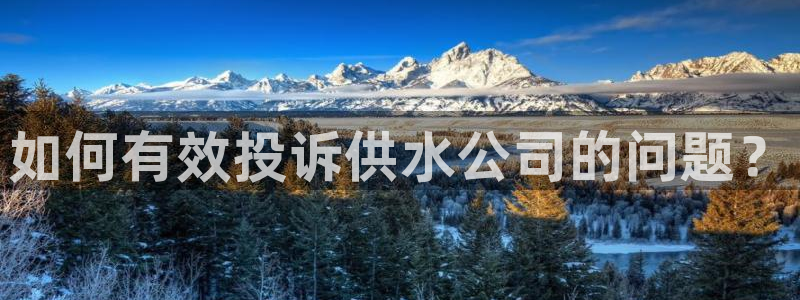 qy球友会体育(中国)官方网站