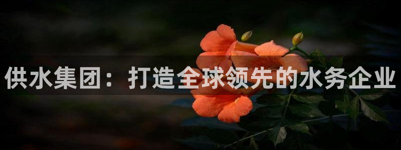 球友会体育app下载安卓