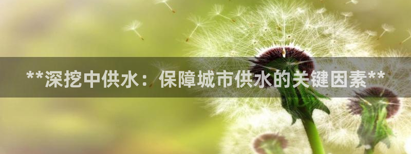 球友会体育app下载安卓手机