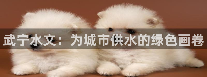 球友会体育app下载官网苹果